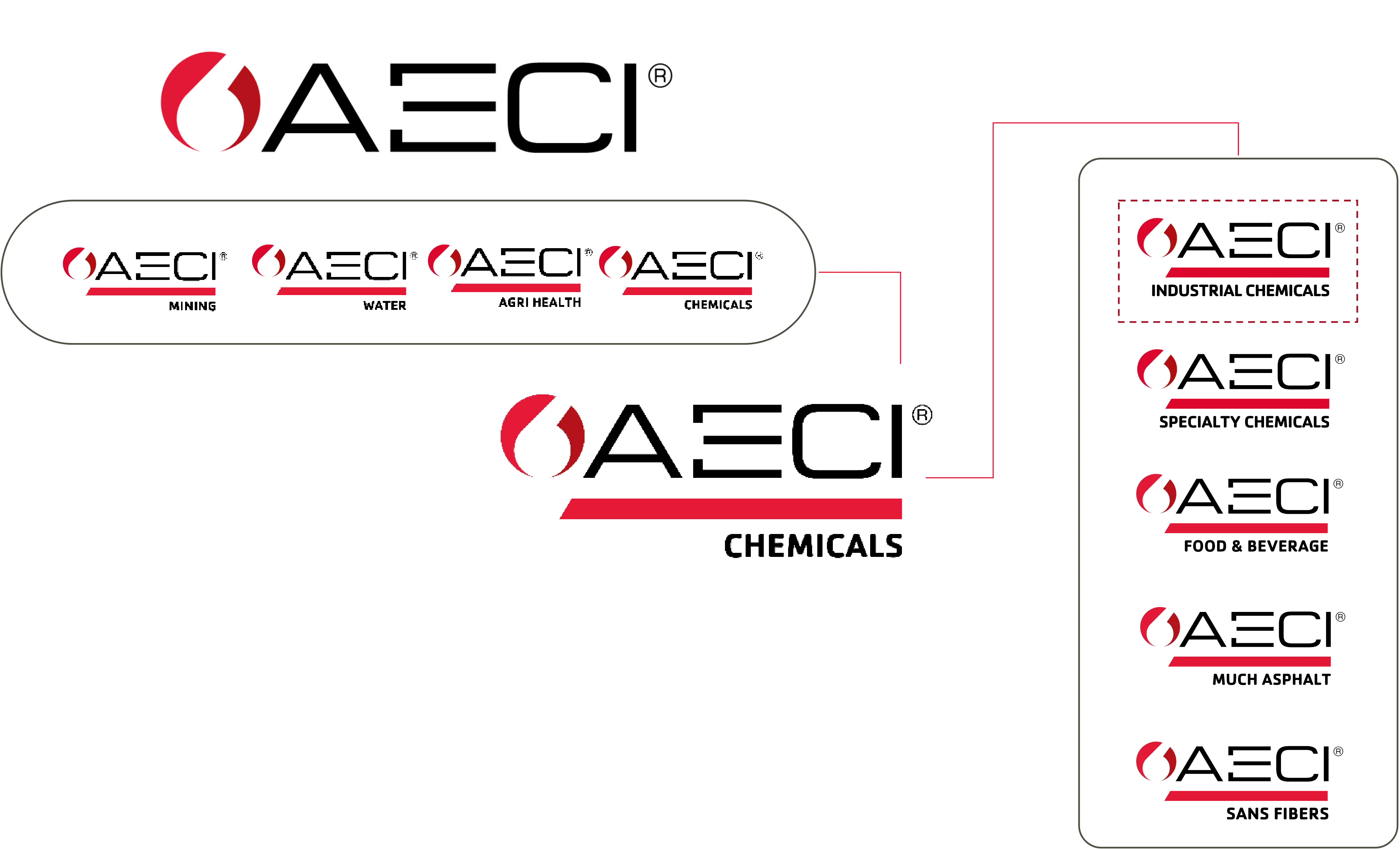 AECI Group Structure - AECI Chemicals